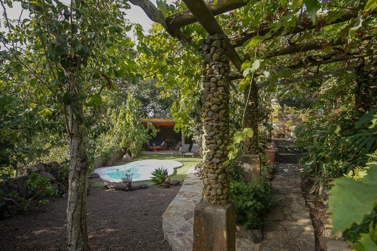 Villa Los Matos Pool And Garden Valleseco Zewnętrze zdjęcie